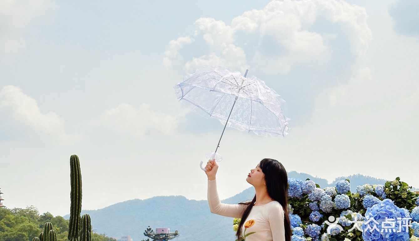 深圳春日诗意📸被绣球花海包围的浪漫天台❀