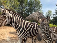 -北京野生动物园