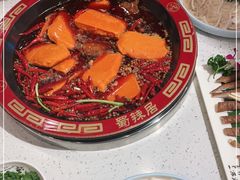 -蜀辣居鲜货老火锅(万象城店)