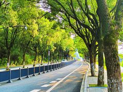 -东钱湖旅游度假区