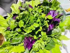 -宽坐河鲜馆(凤城九路店)