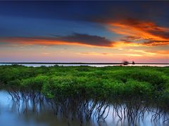 -北海金海湾红树林生态旅游区