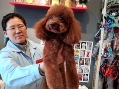 -我爱吾宠宠物美容院(朝阳路店)