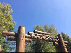 -峡谷浮石林景区