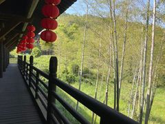 -大唐贡茶院