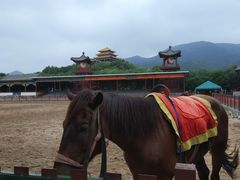 -横店影视城明清宫苑园区