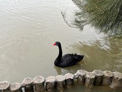 -漩门湾国家湿地公园