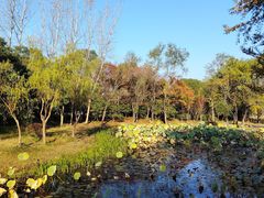 -长广溪湿地公园