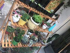 -白日梦奶茶