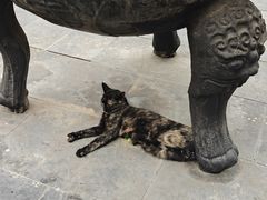 -长春观