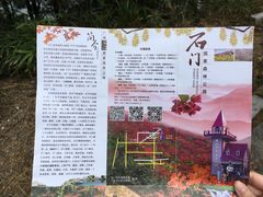 -广州市石门国家森林公园