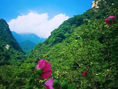 -秦岭风景区