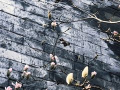 -东华门大街小区