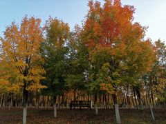 -长春世界雕塑园冰雪艺术天地