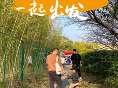 -苏州太湖国家湿地公园