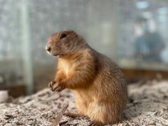 -海合安武汉极地海洋公园