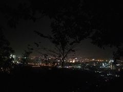 -茶颜悦色(岳麓山顶店)