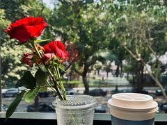 -LOTTA COFFEE(安居博文苑店)