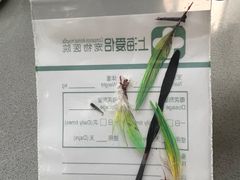 -爱侣宠医·鹦鹉专科·小型哺乳类·异宠专科(灵石路店)