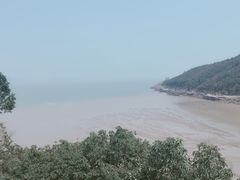 -花岙岛