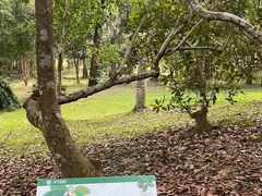 -中国科学院西双版纳热带植物园