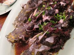 -虎哥私房菜(馒头山店)