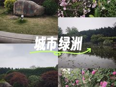 -嘉定紫藤园