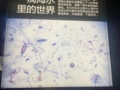 -同济大学四平路校区深海探索馆