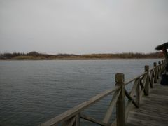 -溱湖国家湿地公园