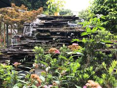 -凤来栖·净庭院·火锅(欧尚店)