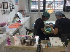 -极橙儿童齿科矫正中心(奥城店)