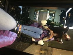 iphone_upload_pic-PIONEER·韩式