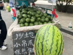 -中国翰园碑林