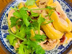 -九斤黄三黄鸡专卖店