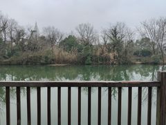 -西溪国家湿地公园