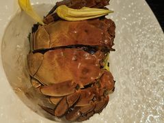 -甄御•海鲜新青岛菜(麦岛店)