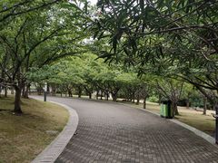 -苏州河梦清园环保主题公园