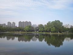 -堤角公园