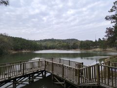 -南京市无想山景区