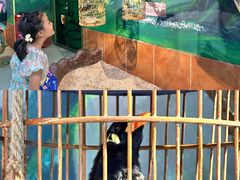 -萌宠奇缘(荣鼎店)