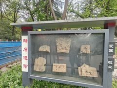 -木塔寺遗址生态公园