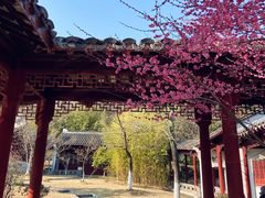 -采石矶景区