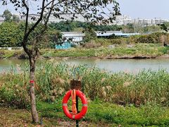 -海珠湖公园