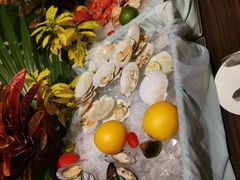 -海口绿发希尔顿酒店-田园汇自助餐·三文鱼·海鲜