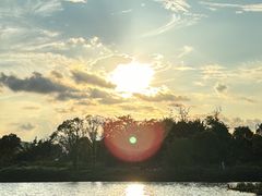 -三垟湿地
