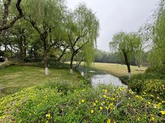 -柳浪闻莺公园