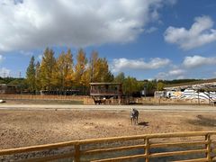 -鄂尔多斯野生动物园