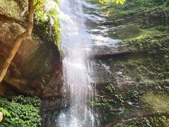 -碧峰峡风景区