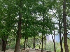 -元大都城垣遗址公园