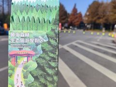 -黄海国家森林公园